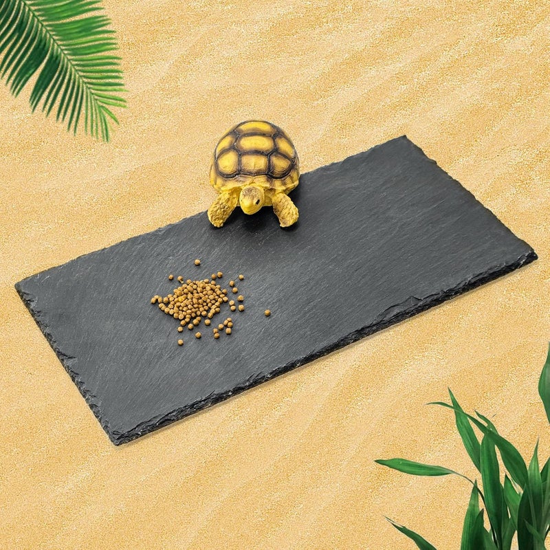 BINANO Tortoise Habitat basking Rock Feeding Dish Bowl Bearded Dragon/Lizard Original Rock Slab,Easy to Grind The Nails,with Non-Slip mats,Natural Food Bowl,Moisturizing Effect(Medium- Size) - Image 1